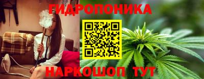 мяу мяу мука Краснознаменск